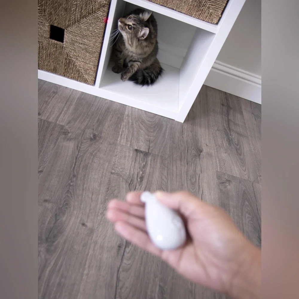Smarty Kat Loco Laser - Gray